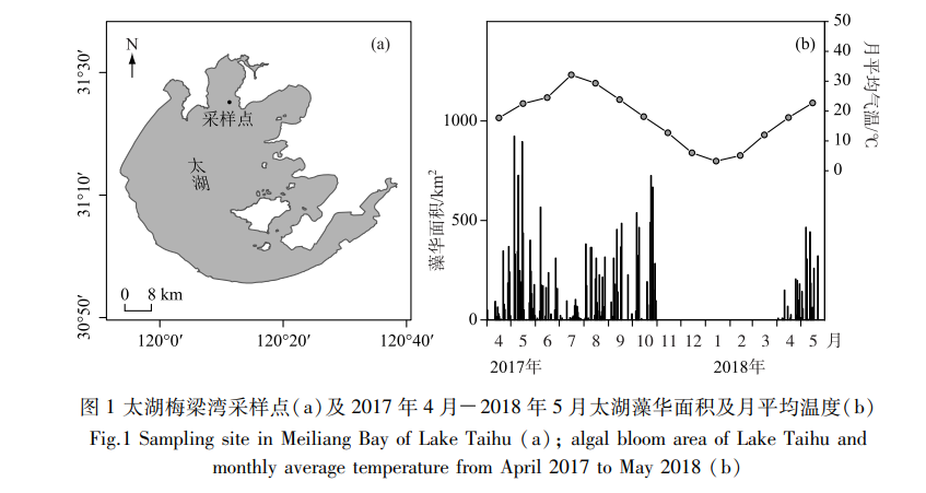 太湖梅梁湾藻华暴发消退-周期表层水体溶解性有机质分子特征