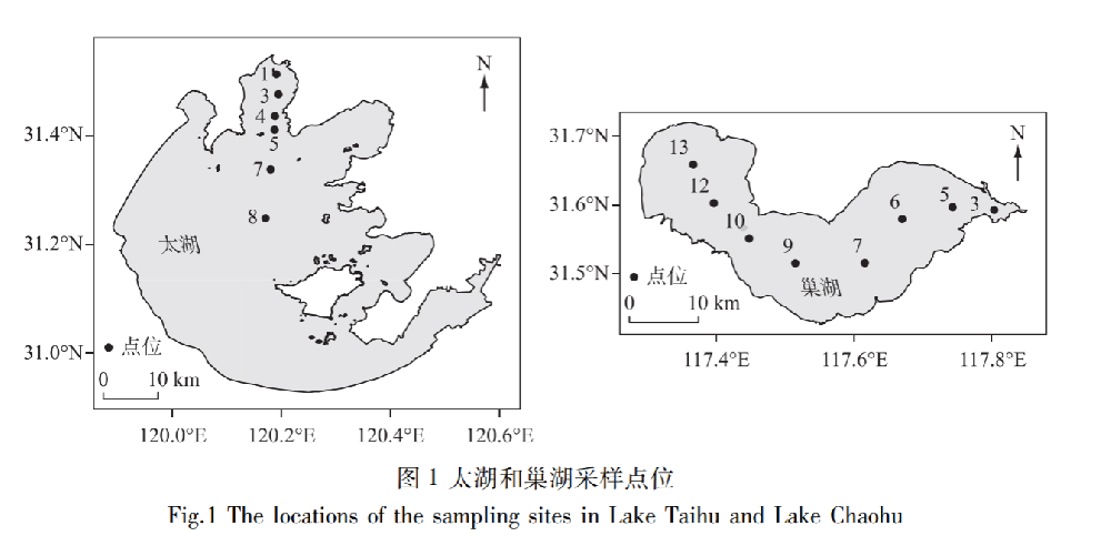 太湖和巢湖中微囊藻(Microcystis)与长孢藻(Dolichospermum)的长时序变化及其驱动因子